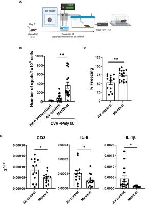 Improvement of cognitive function in wild-type and Alzheimer´s disease mouse models by the immunomodulatory properties of menthol inhalation or by depletion of T regulatory cells